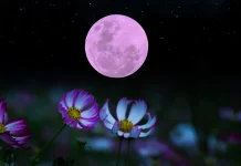 La Luna Rosa ilumina abril y desata curiosidad por su significado espiritual, su impacto emocional y su conexión con la Semana Santa