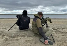 Acuerdo de conservación busca proteger a una de las aves más amenäzadas de Argentina con menos de 1.000 ejemplares