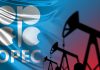 Rusia seguirá en OPEP+ pese a la salida de Emiratos Árabes Unidos y confía en estabilizar mercados en plena crïsis energética global