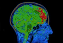 Ni crucigramas ni sudokus: el hábito diario de 10 minutos que puede mejorar la función cerebral en solo una semana