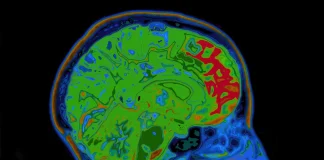 Ni crucigramas ni sudokus: el hábito diario de 10 minutos que puede mejorar la función cerebral en solo una semana