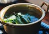 Hervir cáscara de cítricos y aceite de eucalipto: el remedio casero que alivia el ëstrés y libera las vías respiratorias