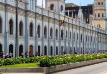 Academia Nacional de Medicina descartó alêrta sanitaria por hantavïrus en Venezuela: la clave es la prevencïón y limpieza en espacios de reproducción de roedores