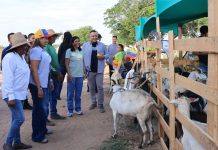 Delcy Rodríguez: Segunda etapa de Peregrinación llegará al «corazón productivo» del país (+ Detalles)