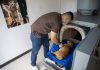 ¡Adiós a los ëntierros en el patio! Nicaragua apertura el primer crëmatorio de mascotas (+ Detalles)