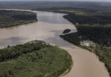 América Latina tiene la mayor riqueza de agua dulce del mundo, pero expertos advierten una crisis silenciosa que podría cambiarlo todo