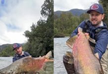 Pescador recorrió más de 3.000 kilómetros y atrapó un gigantesco salmón rey de 20 kilos en la Patagonia
