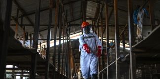 España financia con 1,2 millones de euros los planes de control, rastreo y sanidad de la Cruz Roja frente al rebrÔte de ébôl@