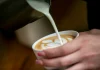 Cuántas tazas de café puedes tomar al día y en qué momento empieza a ser perjüdicial para la salud