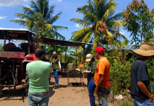Inicia el ciclo de siembra: Impulsan el trabajo de más de 1.400 productores agrícolas en el municipio Ezequiel Zamora de Monagas (+ Detalles)
