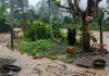 Lluvias provocan nuevos dêslizamientos e inundaciønes en vías del municipio Unda de Portuguesa (+ Detalles)