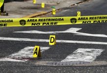 Un hombre perdió la vida tras ser at@cado por su perro cuando intentaba evitar que mördiera a una estudiante en La Guaira