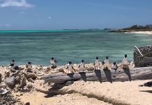 Un paraíso de lujo natural: Los Roques no es solo un destino, es otro planeta dentro de Venezuela (+ Video)