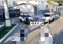 Golpe al närcotráfico: Ïncautan cargamento de más de 200 kilos de presunta märihuana en Lara