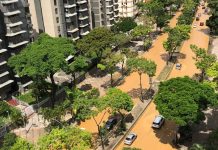 Rotura de una tubería causó estragos en el Boulevard del Cafetal: inundó calles a la altura de Santa Paula y generó cąøs vehícular (+ Detalles)
