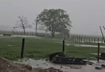 Constancia y dedicación: Así es el inicio de los trabajos bajo el invierno en el llano venezolano (+ Video)