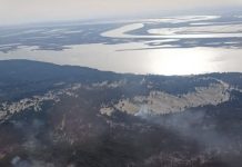 Un incendiø forestal devästa 400 hectáreas en el Parque Nacional de Doñana en España