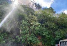 Incêndio de vegetación fue controlado en Baruta: Rápida intervencïón de los Bomberos evitó la propagacïón de las lląmas hacia las zonas residenciales