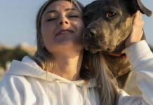 Tu perro no solo busca cariño: lo que realmente significa cuando te empuja con el hocico y te reclama atención