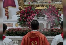 Devoción en Barcelona: abren la capilla de San Celestino Mártir y fieles vivirán un encuentro más cercano con su patrono (+ Fotos)