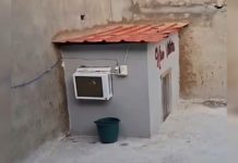 ¡Viral! En Guanare construyen una minicasa con aire acondicionado para una perrita y el video en redes causa furor (+ Video)
