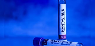 España, Francia y Países Bajos adquieren un tratamiento experimental contra el hant@virus (+ Detalles)