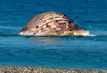 C@dáver de la ballena jorobada Timmy podría explÖtar en las próximas horas enciËndiendo la alËrta sanitaria en Dinamarca