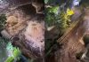 Caös en Baruta: denuncian nueva rotura de tubería matriz inunda Santa Sofía y el bulevar de El Cafetal (+ Video)