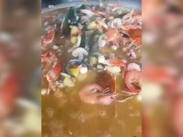 ¿El Caribe en la Cueva del Oso? Así luce la fosforera gocha más viral de San Cristobal que revive hasta «al más muertö» (+ Video)