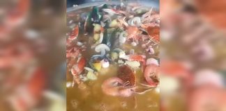 ¿El Caribe en la Cueva del Oso? Así luce la fosforera gocha más viral de San Cristobal que revive hasta «al más muertö» (+ Video)