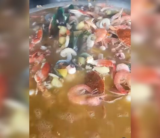 ¿El Caribe en la Cueva del Oso? Así luce la fosforera gocha más viral de San Cristobal que revive hasta «al más muertö» (+ Video)
