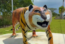 El Ñigre: El monumento que salió mal y terminó siendo un punto turístico en El Tigre (+ Video)