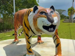 El Ñigre: El monumento que salió mal y terminó siendo un punto turístico en El Tigre (+ Video)