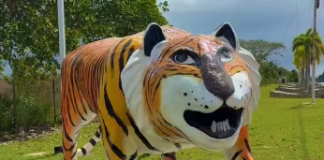 El Ñigre: El monumento que salió mal y terminó siendo un punto turístico en El Tigre (+ Video)