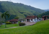 ¿Te levantarías temprano para disfrutar esta vista? Una taza de café y la Posada Loma Brisa son la mejor combinación en la Colonia Tovar (+ Fotos y Video)