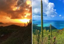 De la montaña al mar: Tres senderos imprescindibles para descubrir el lado salvaje de la Isla de Margarita (+ Fotos)