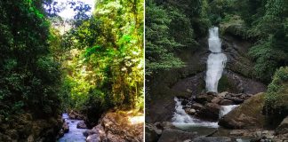 Corredores de Calderas: Agua helada, cascadas y senderos más atractivos de Barinas (+ Fotos)