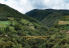 Niquitao alberga el puente sobre un río más alto de Venezuela: Una de las joyas en Boconó, Trujillo (+ Video)