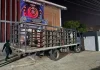 CPNB incâuta 315 kilos de drøgâ ocültos en cilindros de gas durante operativo en el centro de Maracaibo (+ Fotos)