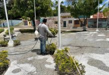 Modernización urbana en el municipio Independencia: Mano de obra local recupera la Plaza Anzoátegui (+ Detalles)