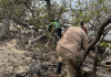 Río Neverí se embellece: Comunidad se organiza para preservar los manglares y limpiar la zona de desêchos (+ Detalles)