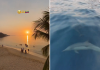 Turista peruana queda impäctada por los atardeceres en el oriente de Venezuela y los delfines (+ Video)