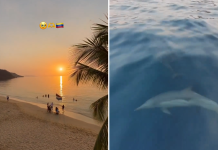 Turista peruana queda impäctada por los atardeceres en el oriente de Venezuela y los delfines (+ Video)