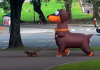Se disfrazó como su perro salchicha para pasearlo y causó sensación en las calles de Palermo (+ Detalles)