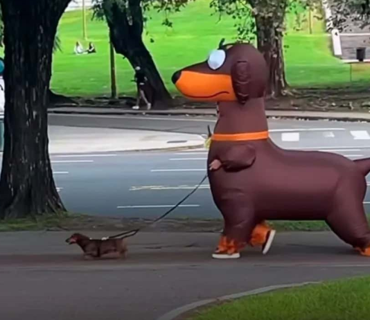 Se disfrazó como su perro salchicha para pasearlo y causó sensación en las calles de Palermo (+ Detalles)
