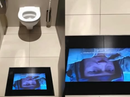 Ya no te perderás la película por ir al baño: Salas de cine en Suiza instalan pantallas para disfrutar la función en todas partes (+ Detalles)