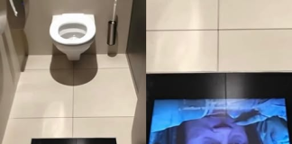 Ya no te perderás la película por ir al baño: Salas de cine en Suiza instalan pantallas para disfrutar la función en todas partes (+ Detalles)