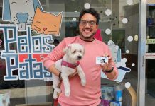 Banco del Tesoro lanza la tarjeta Master Debit “Amigos de las Mascotas” para promover beneficios y cuidado animal en Venezuela