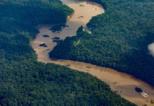 Venezuela reafirma ante la CIJ sus derechos históricos sobre el Esequibo y llama al diálogo con Guyana