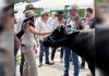 Delegación agrícola de Estados Unidos visitó la ExpoFeria Nacional en Caracas para impulsar alianzas productivas
